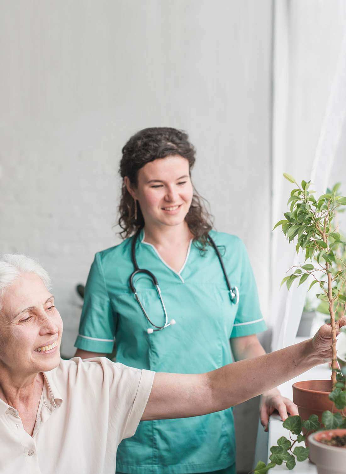 Eine Rentnerin kümmert sich mit einer Mitarbeitenden der Spitex Zofingen um ihre Zimmerpflanzen.